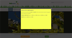 Desktop Screenshot of bellunum.com