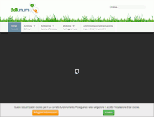 Tablet Screenshot of bellunum.com